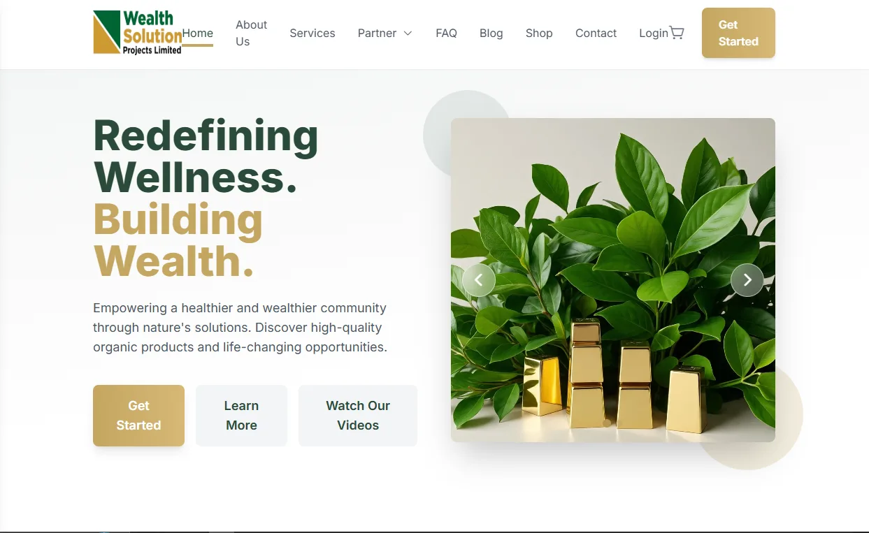 Wealth Solution Projects website preview
